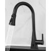 imageHibbent Pull Down Kitchen Faucet Head Replacement 3Function Kitchen Sink Spray Nozzle with 15 Adapters Compatible with Moen American Standard Delta Kohler Faucets Chrome Shiny SilverMatte Black