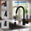imageHibbent Pull Down Kitchen Faucet Head Replacement 3Function Kitchen Sink Spray Nozzle with 15 Adapters Compatible with Moen American Standard Delta Kohler Faucets Chrome Shiny SilverOil Rubbed Bronze