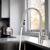 imageHibbent Metal Pull Down Spray Head for Kitchen Faucet Kitchen Sink Spray Nozzle with 15 Adapters Faucet Head Replacement Compatible with Moen American Standard Delta Kohler Faucet Brushed NickelBrushed Nickel