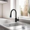 imageHibbent Pull Down Faucet Head Replacement 4Function Kitchen Sink Spray Nozzle Replacement with 15 Adapters Compatible with Moen American Standard Delta Kohler Faucets Brushed NickelOil Rubbed Bronze